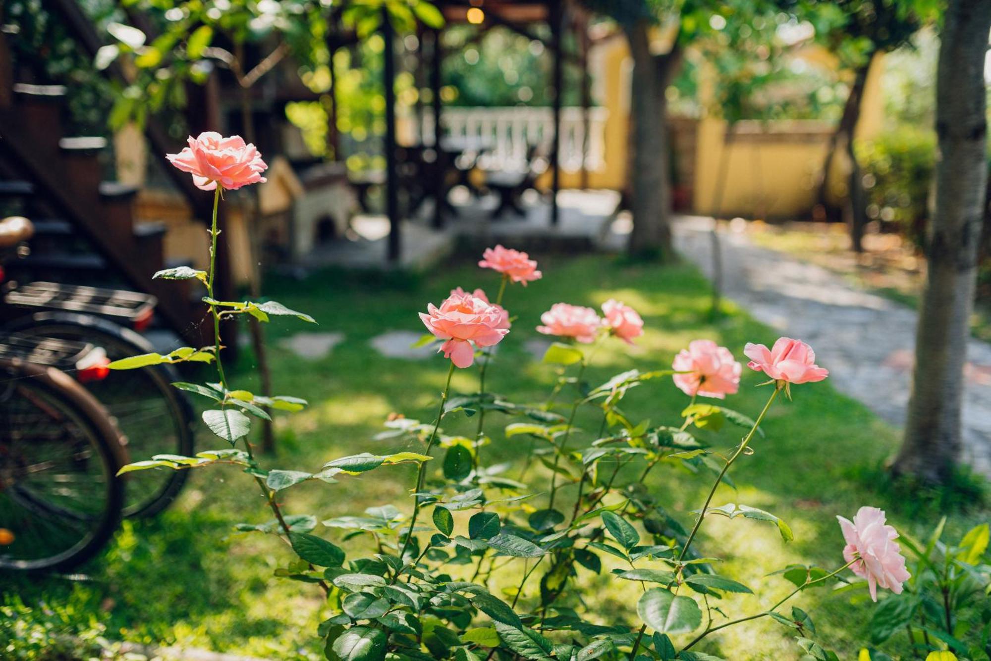 Villa Yianna Неа-Месаґкала Екстер'єр фото