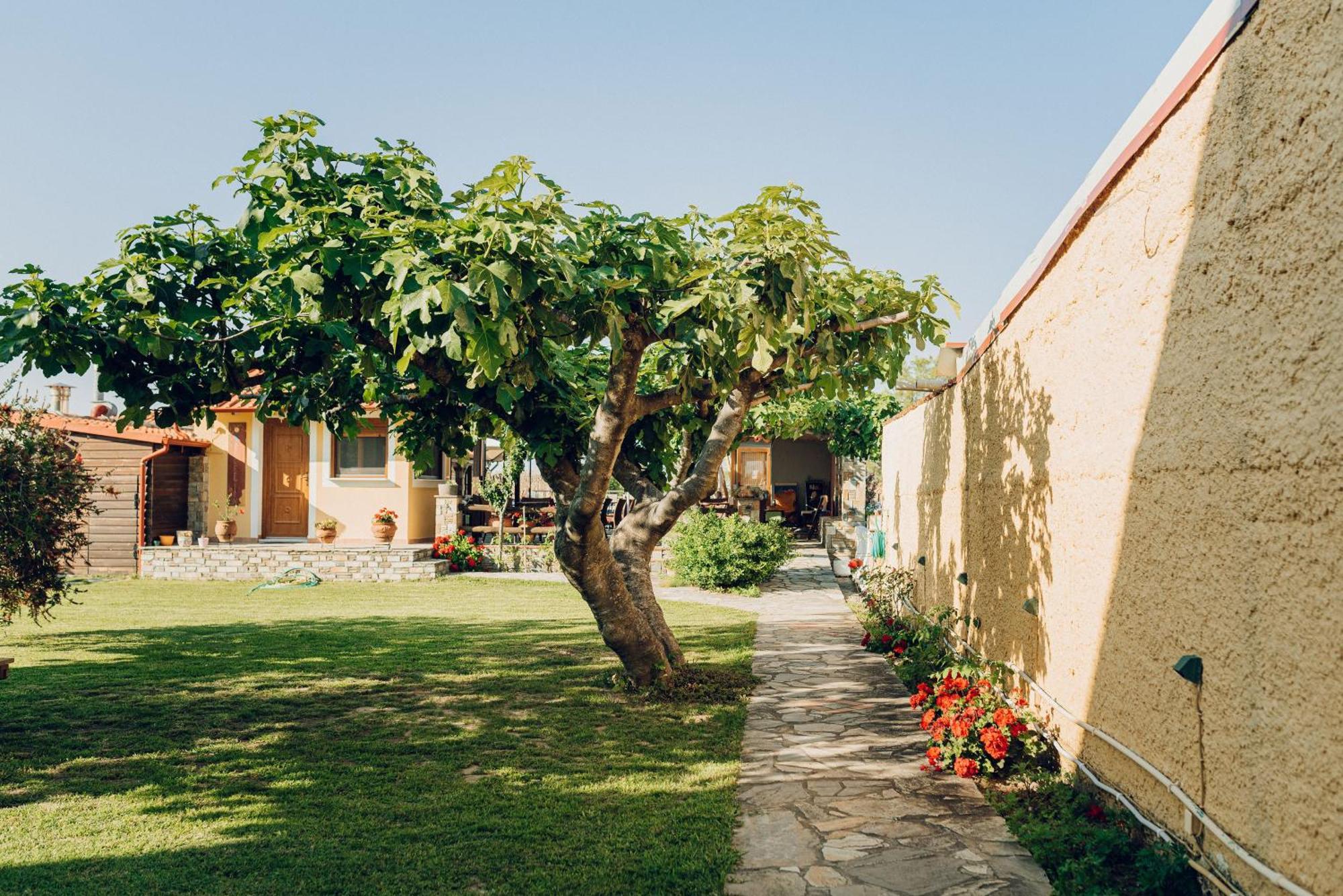 Villa Yianna Неа-Месаґкала Екстер'єр фото